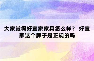 大家觉得好宜家家具怎么样？ 好宜家这个牌子是正规的吗